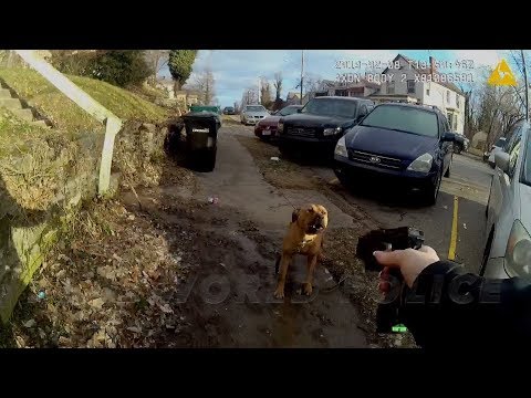 "I'll tase your ass, dog!"