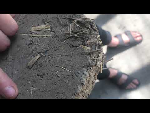 Testing our Cob Bricks