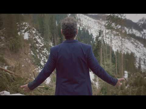 Il dono, meditare per gli alberi della val Visdende