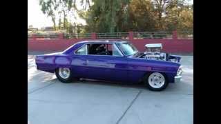 flip flop and fly - chicken run