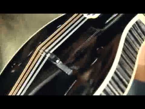 Weber Black Ice Mandolin -F Style image 9