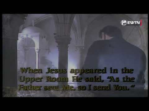 Catholic Daily Mass - Daily TV Mass - November 20, 2022