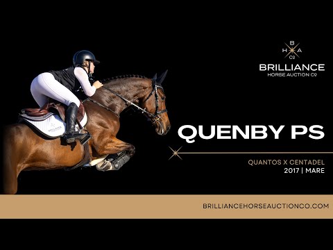 Quenby PS - YH Final Jump Off Oliva Nova 2023