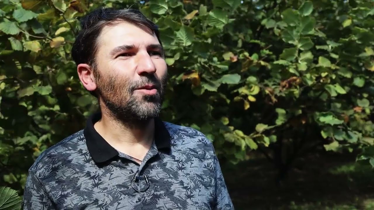 The farmer purchased pesticides for the hazelnut orchard with the help of the state subsidy