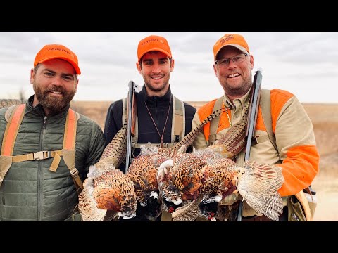 The Hunt for Montana's Upland Slam on Public Land | The Flush: Season 11, Episode 9