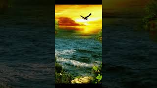 lindo louvor a Deus curti