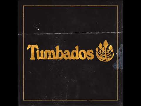 🦷 LA CARIE🔥 MELINA (Baila Monstruo, Vega, Santiago Malamadre, Barry Osorio)(Prod. Lemort Beats)