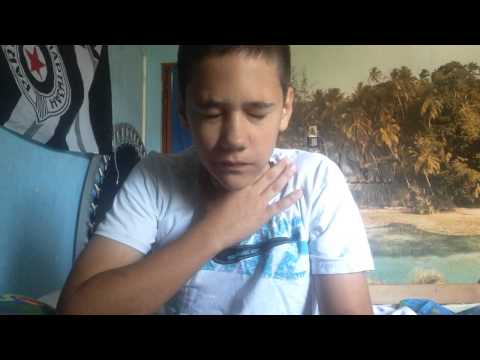 SRB-BOSS | Papricica challenge