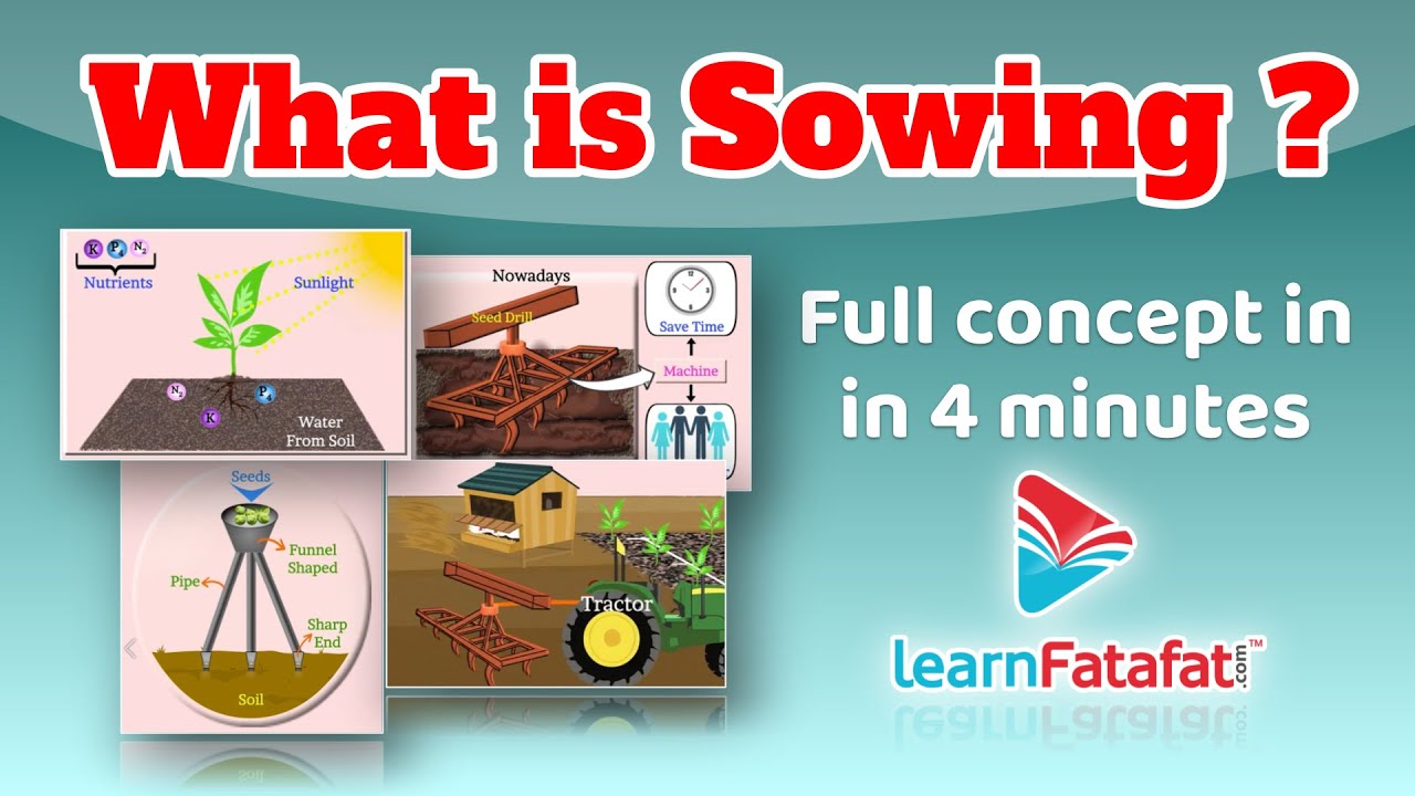 Class 8 Science Crop production and management | What is Sowing ? | Agricultural Practices