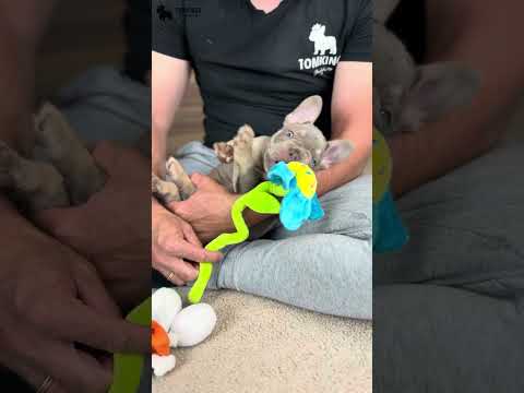 Video 2