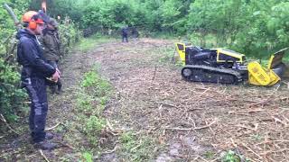 MULČENJE GRMIČEVJA 051330862