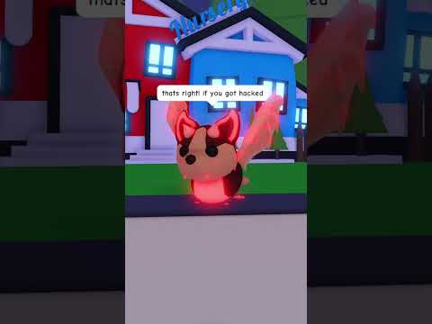 How To Get Pets Back In Adopt Me!