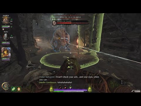 Best Team work (Engineer & Sister of the Thorn)｜Vermintide 2