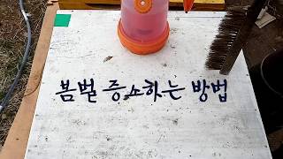 봄벌 증소하는 방법, 소초광으로 증소하기