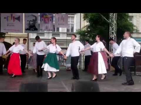 Kmochův Kolín 2016 / Kocour Modroočko & Rasputin - Stará pivničková