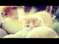 Whatsapp Status WhatsApp Status