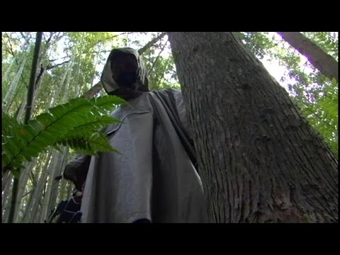 Asian Horror Movie Reviews (2011) - part 1