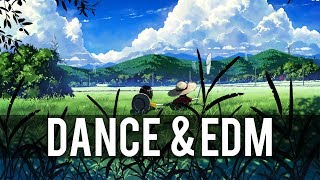 Arc North x Polarbearz - Together Now (ft. Camilla Neideman)