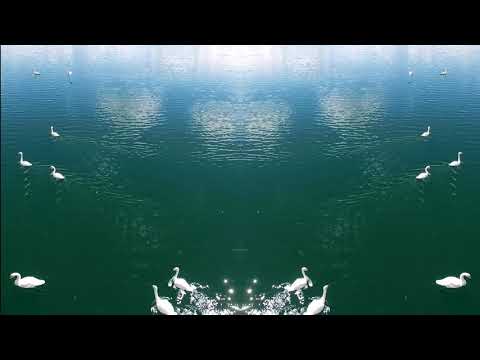 Baagii /Noname/ ft Dalai - Ineed irne