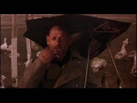 le temps des gitans ( émir Kusturica - intro) -  mon âme est un petit oiseaux