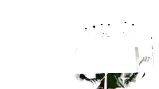 Bach2 (Roberto Alonso Trillo)