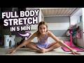 Full Body Stretch In 5 Mins