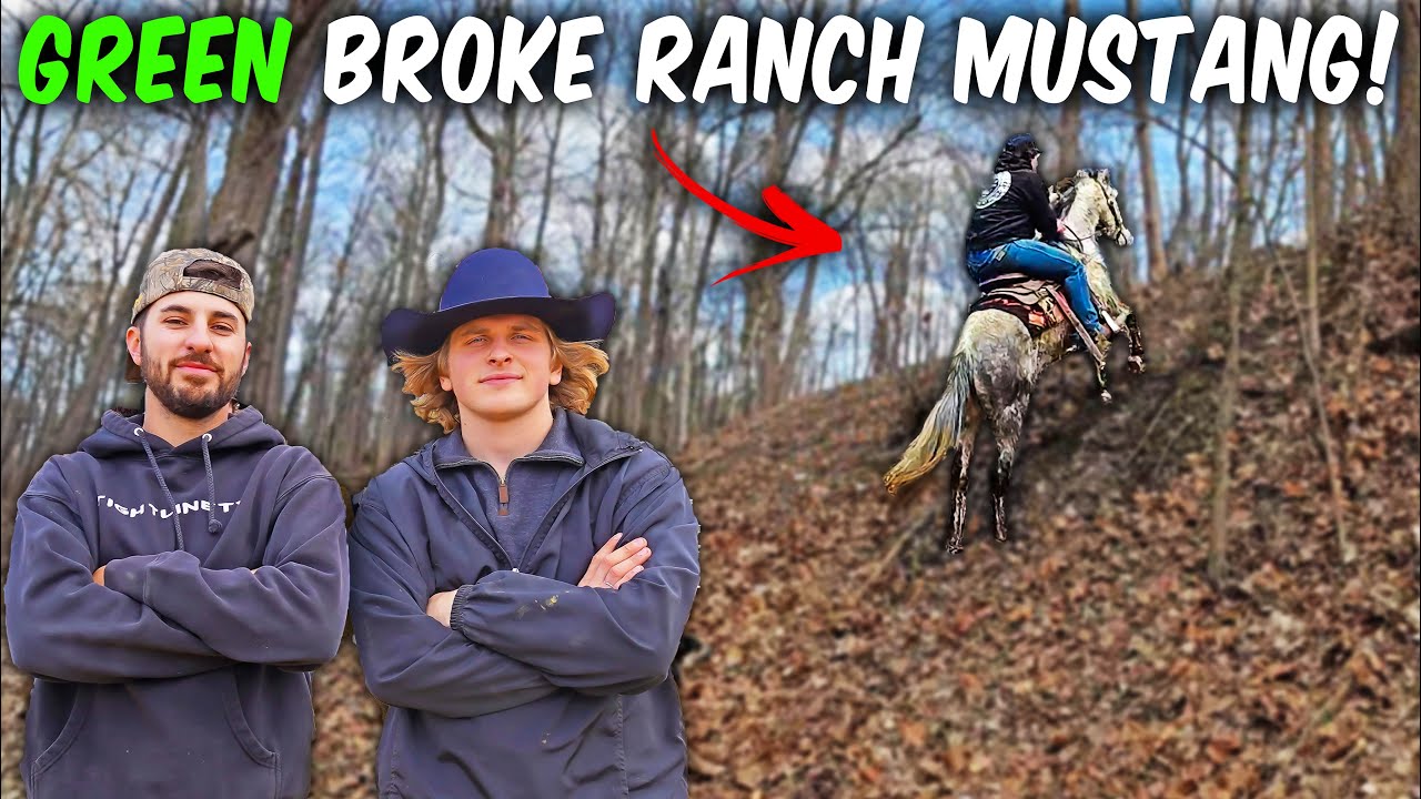 We Test Our Green Broke Ranch Horses on Trails!
