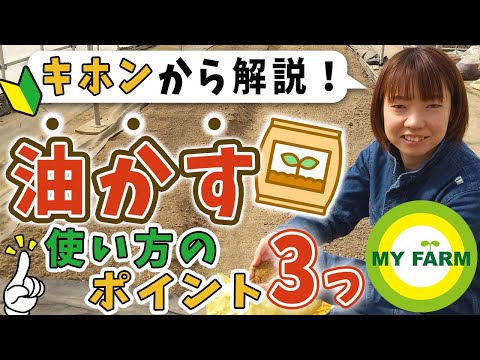 菜種油について詳しく解説