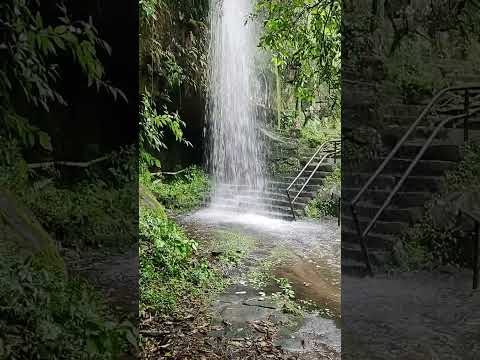 Gruta do HRLSS Lapa pr.