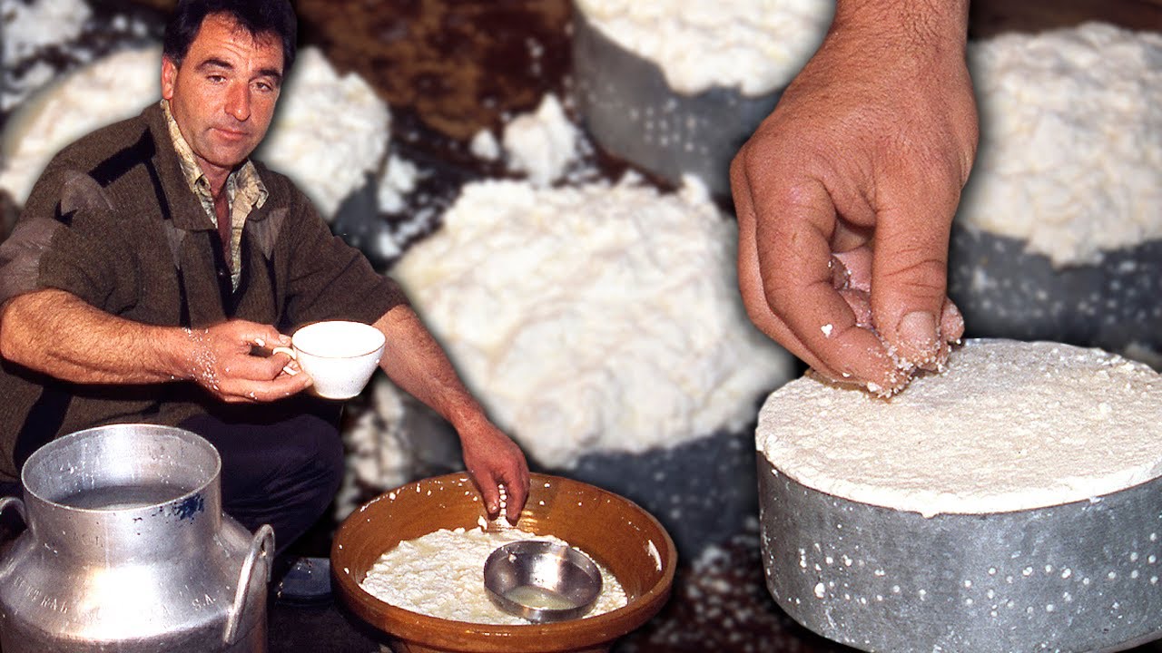 Artisan goat cheese. Differences between traditional and modern techniques in a cheese factory