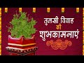 तुलसी विवाह Tulsi Vivah Status New Tulsi Vivah Status Tulsi Vivah Song