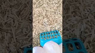 【廢片】自己的廁所自己清
