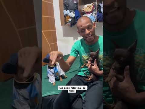 A CARA DELE SÓ ESPERANDO O DONO FALAR MAL DO MESSI! KKKKKKKKKKK #shorts