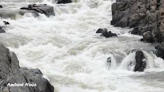 Relax by the Waterfall | 2 Hour of Pure Nature Sound for Stress Relief