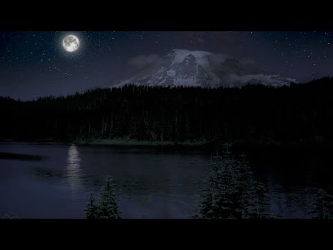 Relajación guiada y visualización -  Bosque en luna llena -     Sadhana.mdeo
