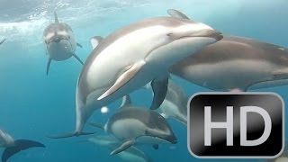 Newsboys &quot;In Wonder&quot; ROCKING Music Video in 1080p