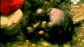 Segunda Guerra: gran fuga de Stalag Luft III