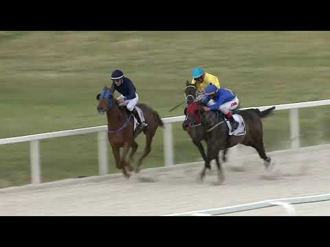 2021.05.30. 03. futam - DUCE HENDIKEP (II.o.) (szintetikus pálya)