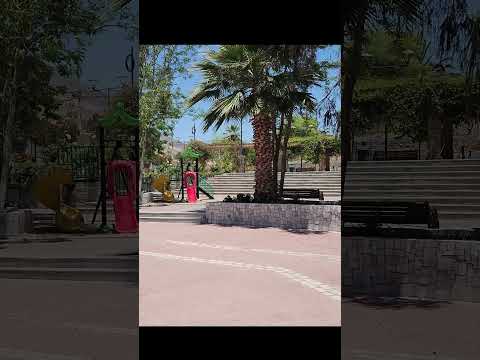 Encuentro con un gatito en Punitaqui 🐱 #shorts