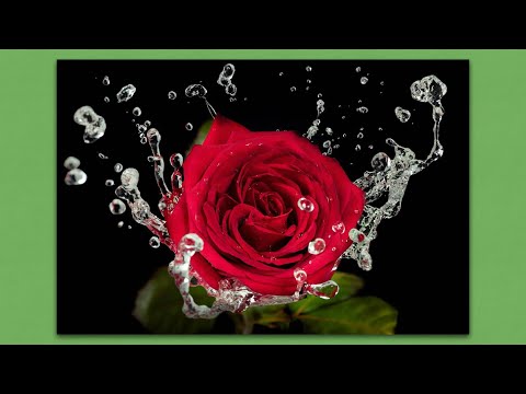 Conway Twitty  "The Rose"  Suggested by @johnbooth6467