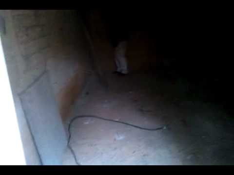 Luftschutzbunker teil 1ablacher.mp4