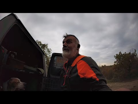 woodcock hunting Greece 5/12/2025μπεκατσες by teo orestiada'BELCANDO DOG FOOD,,, Trip 26