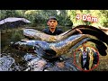 RỪNG THIÊN CAMPUCHIA Và Loài CÁ SĂN Mồi Bí Ẩn 4 Đêm Ngủ Rừng Săn Cá Suối Mùa 