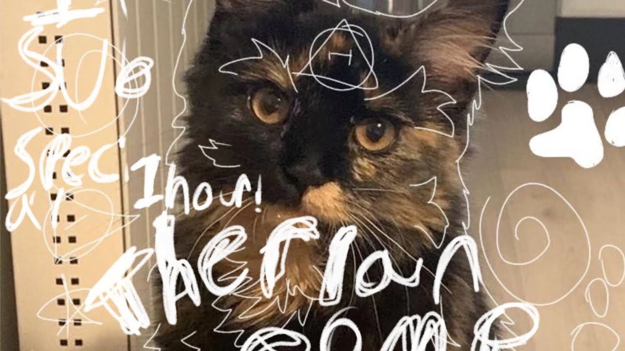 1 AND 1/2 HOUR THERIANTOK COMP BC I GOT 1K SUBS ✨💅😤