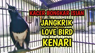 Download lagu KACER GACOR KONSLET BONGKAR ISIAN JANGKRIK LB KENARI !! PANCINGAN KACER GACOR PASTI NYAUT AMPUH. mp3