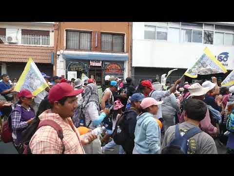 sin sonido? no hay problema se canta igual peregrinos de guachipas 2025 salta💜