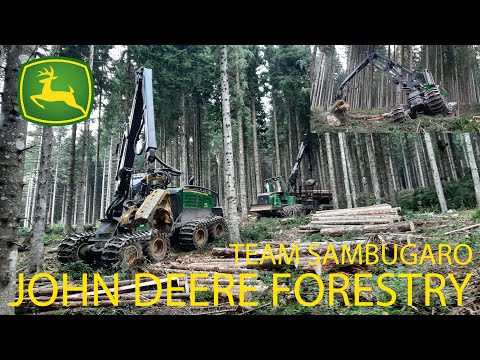 JOHN DEERE FORESTRY SQUAD - TEAM SAMBUGARO