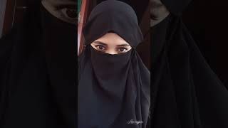 Download lagu jilbab cadar bikin nafsu mp3 Download lagu jilbab cadar bikin nafsu mp3