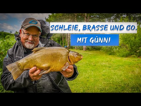 Method-Feedern am See. Das Rezept für große Friedfische!