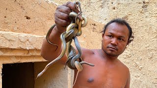 Found Abandoned Secret Underground House and Snakes in Swimming Pool